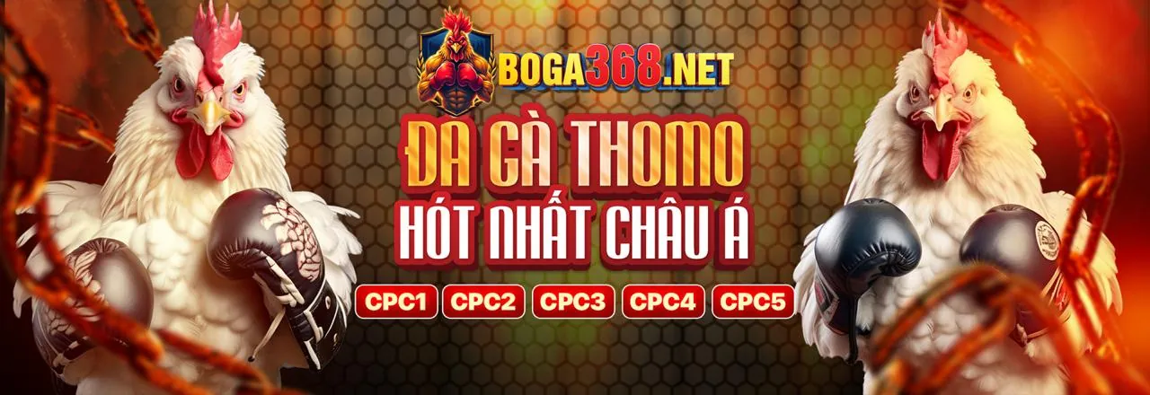 Tổng quan về 79 King Win, nền tảng cá cược trực tuyến hàng đầu
