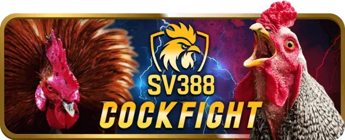 Game Bài Cào (Ba Cây) tại 79 king win