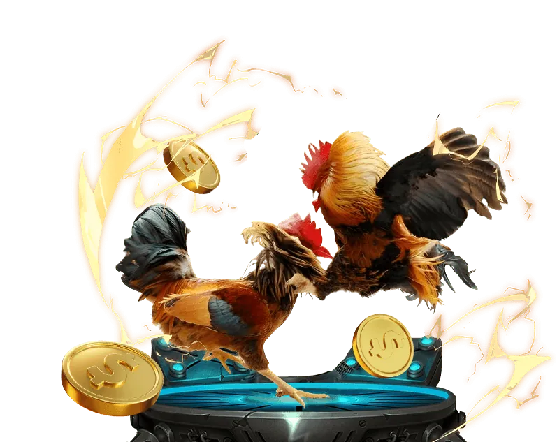 Các chương trình khuyến mãi và ưu đãi của C54